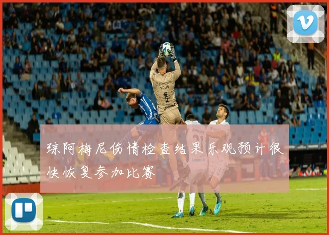 琼阿梅尼伤情检查结果乐观预计很快恢复参加比赛